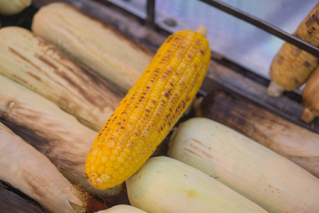 Delicious corn on trolley, fresh corn background.の写真素材