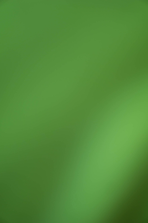 Green background with blurred background imageの写真素材