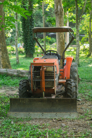 The old tractors, parked at the old forest.