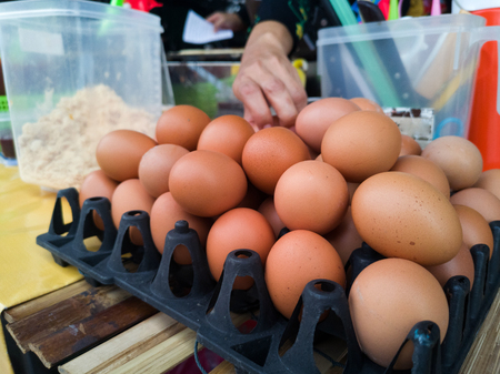 Raw egg salesman.の写真素材