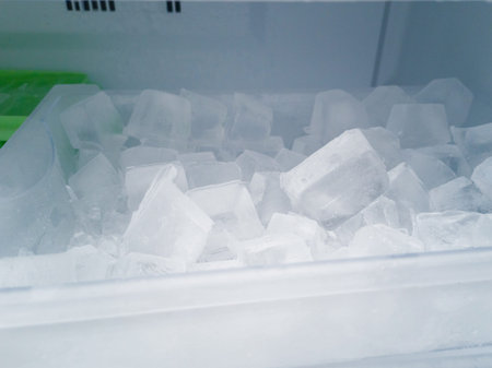 Ice in the refrigerator.