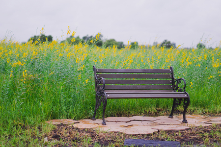 The park is a flower field.の写真素材