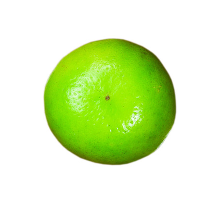Lime isolated on white backgroundの写真素材