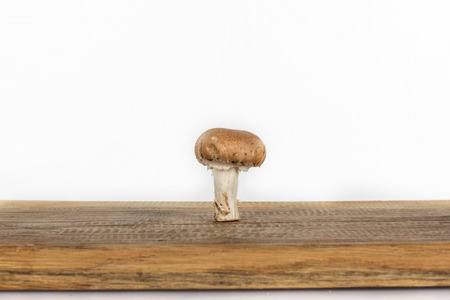 A single mushroom on a wooden board isolated on whiteの写真素材