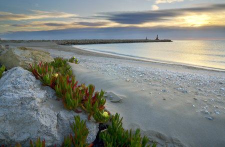 Sunrise in Spain, Valencia region  Beautiful beach in Spain with clean sand scattered with shells...