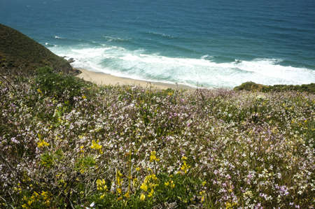 Point Reyes National Seashore,CA,Tomales Pointの写真素材