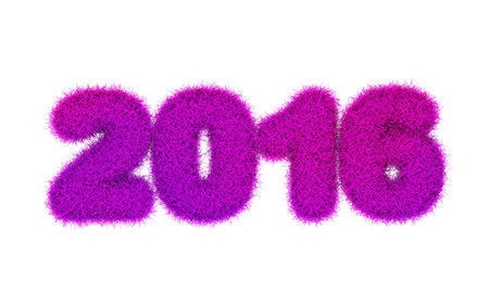 Year 2016