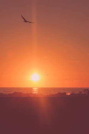 Beautiful Venice beach area in Los Angeles with a pedestrian walk during orange sunset. Empty beach, golden sand, no people.の写真素材