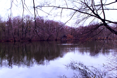 A Beautiful Landscapeの写真素材