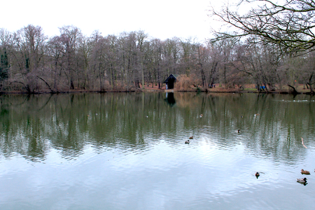 The Chateaux Garden Pondの写真素材