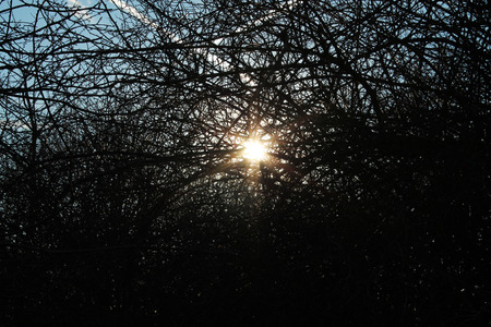 sunny dayの写真素材