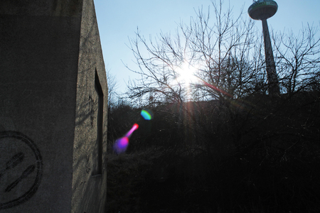 The sunny dayの写真素材