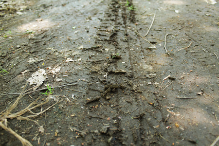 The tire tracksの写真素材