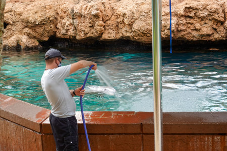 Orlando, FL/USA-7/12/20: A dolphin getting a fresh water bath at the dolphin exhibit at Seaworld in...