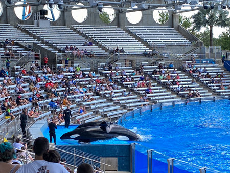 Orlando, FL/USA-7/12/20: The Orca or Killer Whale Exhibit at Seaworld,
