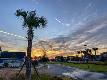 Sunset with palm trees in a neighborhood in Orlando, Florida.の写真素材