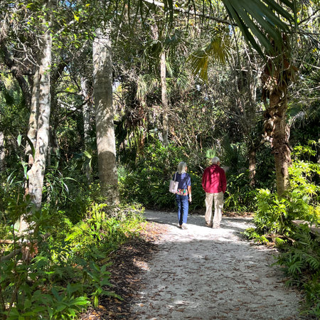 Vero beach, FL USA - January 8, 2021:  A senior couple walking along a tropical rock pathway at McKee Botanical Gardens in Vero Beach, Florida.のeditorial素材