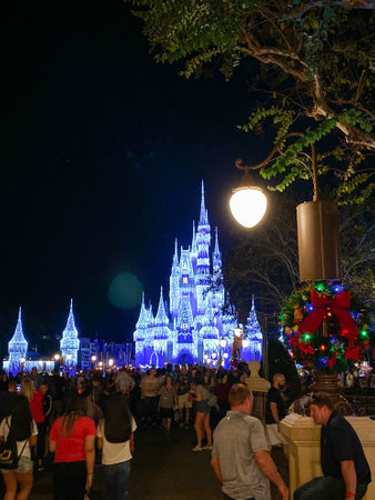 Orlando, FL USA-November 278 2019:  People standing waiting for the firework show to start in Magic Kingdom in Disney World in Orlando, Florida.のeditorial素材