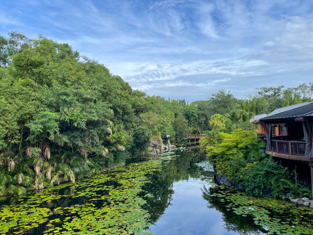 orlando, FL USA -September 1, 2021: The beautiful lanscaping at Animal Kingdom at  Walt Disney World  in Orlando, Florida.のeditorial素材