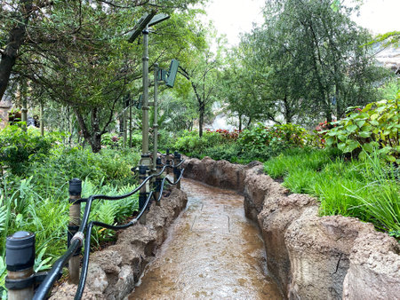 orlando, FL USA -December 22 2019: The beautiful lanscaping at Animal Kingdom at  Walt Disney World  in Orlando, Florida.のeditorial素材