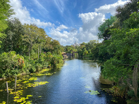 orlando, FL USA -November 6, 2020: The beautiful lanscaping at Animal Kingdom at  Walt Disney World  in Orlando, Florida.のeditorial素材