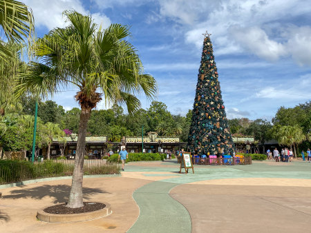 orlando, FL USA -November 6, 2020: The entrance to Animal Kingdom during Christmas at  Walt Disney World  in Orlando, Florida.のeditorial素材