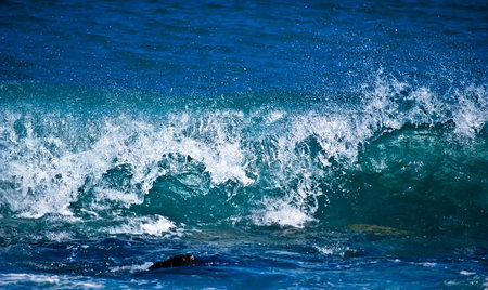Waves breaking in the ocean.