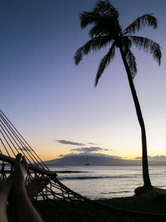 The silhouette of a palm tree on a Hawaiian beach at sunset with a sail boat in the distance and a coupleの写真素材