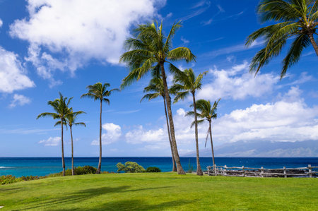 View from a coastal trail near Kapalua on Maui with Moloka