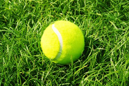 tennis ball in grass courtの写真素材