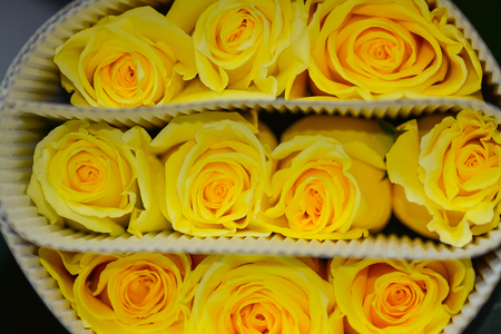 Roses in sale package.の写真素材