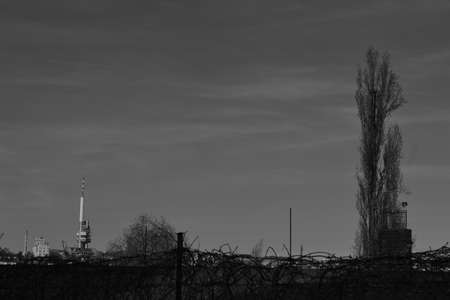 Zizkov tower from a farの写真素材