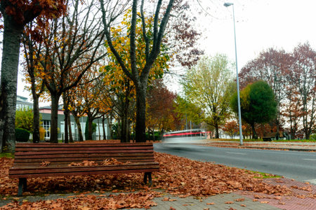 Autumn in Lugoの写真素材