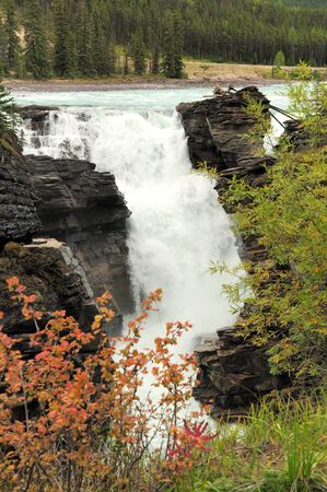 The Athabasca Falls Jasper National Parkの写真素材