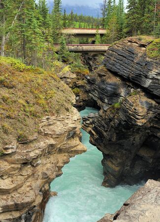 Rocky Cliffs Shaping A Gorge On The La Biche River Near The Athabasca Falls Jasper National Parkの写真素材