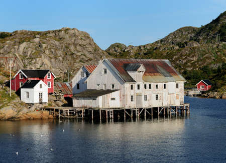 Waterfront Of the Small Fishing Village On Lofoten Island Skrova On A Sunny Summer Day With A Clear Blue Skyの写真素材