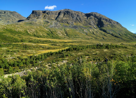 Mountains In The Barren Landscape Of The Icefields Of Jotunheimen National Park On A Sunny Summer...