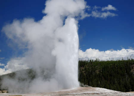 Eruption Of The Old Faithful Geyser At Upper Geyser Basin Yellowstone National Park On A Sunny Summer Day With A Clear Blue Sky And A Few Cloudsの写真素材