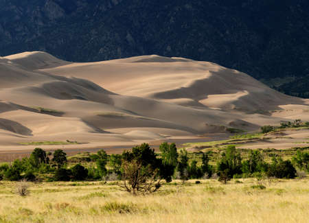 Rolling Sand Dunes In The Golden Late Afternoon Sunlight And Grassland In The Foreground At Great Sand Dunes National Park On A Sunny Summer Dayの写真素材