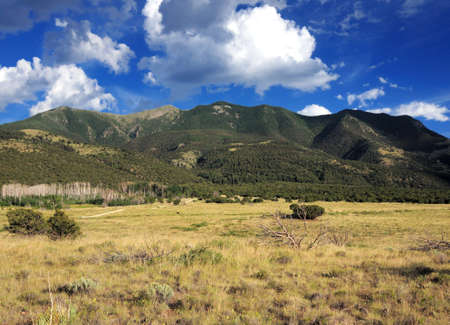 View From A Meadow To The Mountains Of The Sangre de Cristo Range On A Sunny Summer Day With A Clear Blue Sky And A Few Cloudsの写真素材