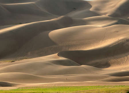 Rolling Sand Dunes In The Golden Late Afternoon Sunlight At Great Sand Dunes National Park On A Sunny Summer Dayの写真素材