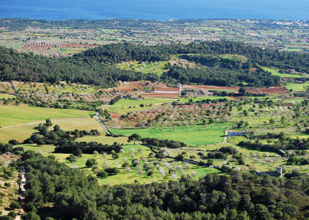 Aerial View To Blooming Almond Trees And The Sea In The Countryside Of The Balearic Island Mallorca During A Sunny Dayの写真素材