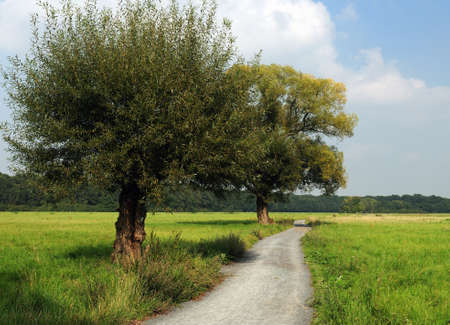 Dirt Road With Trees In The Countryside Near Frankfurt am Main Hesse Germany On A Beautiful Summer Day With A Clear Blue Sky And A Few Cloudsの写真素材