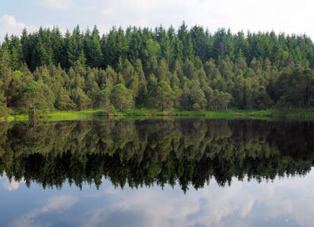 Idyllic Little Lake Blindensee With Reflections On The Calm Surface In The Forest Near Triberg Black Forest Germany On A Beautiful Sunny Summer Day With A Blue Sky And A Few Cloudsの写真素材