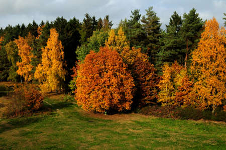 Fall Foliage In The Forest Around Eschbacher Klippen Hesse Germany On A Beautiful Sunny Autumn Dayの写真素材