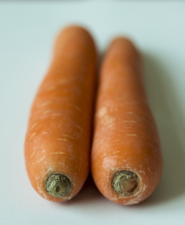 A Pair of Carrotsの写真素材