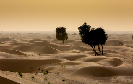 Hot Desert Landscapeの写真素材