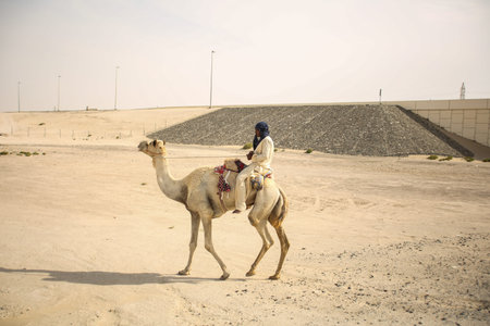 Bedouin man with camels in desert of Dubai, United Arab Emirates