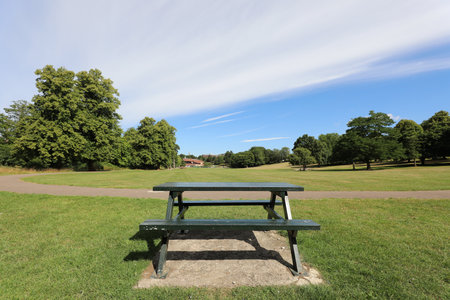 Bench in the park, with trees and blue sky in the backgroundの写真素材