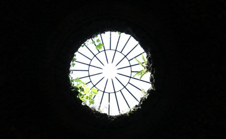 Looking through the window of an old church in the middle of the forestの写真素材